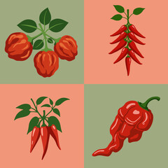 set illustration vector graphic of red chili pepper with green leaves