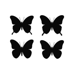 Set of Butterfly Silhouettes on White Background