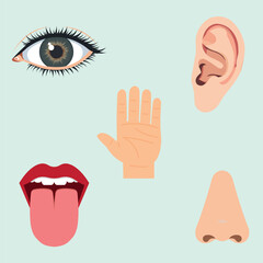 THE FIVE SENSES, EYE HAND EAR MOUTH NOSE