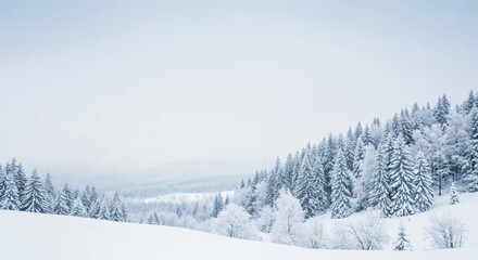 Obraz premium A Serene Winter Landscape Featuring Pine Trees Blanketed in Fresh Snow under a Soft and Overcast Sky in a Tranquil and Scenic Mountainside Environment