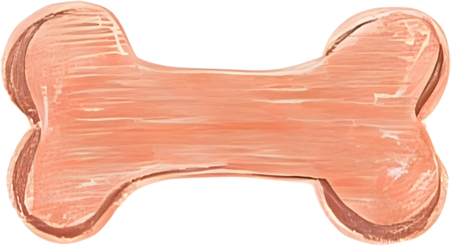 dog bone