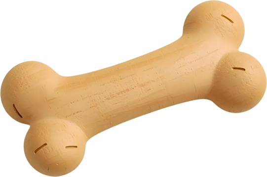 dog bone