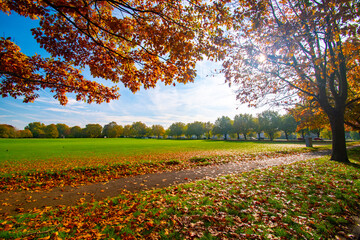Trees in autumn color on the Meadows Recreation Ground near the river Trent in Nottingham, UK.