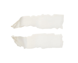 Torn Paper Strips: Two torn strips of paper, exhibiting raw edges and subtle textures, offer a blank canvas for artistic expression.