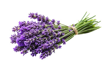 Naklejka premium A vibrant bouquet of freshly cut lavender flowers tied with natural twine