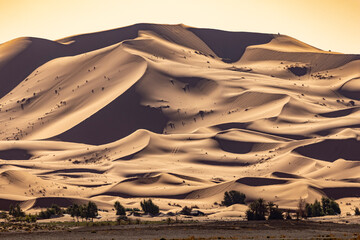 Sahara Dunes Mhamid