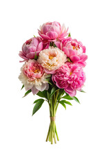 Beautiful bouquet of pink and white peonies on a white background