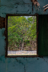 Natureza vista por uma janela