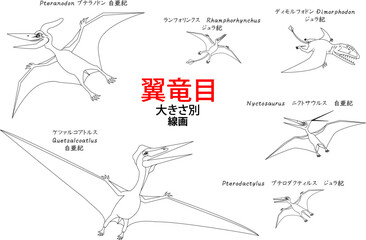 プテラノドンなど翼竜達　線画のセット © fumimicreative
