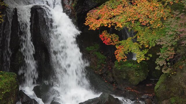 日光・竜頭の滝、紅葉初期（部分）