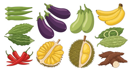 Variety of Vegetables and Fruits Eggplant, Banana, Durian, Chili Vector
