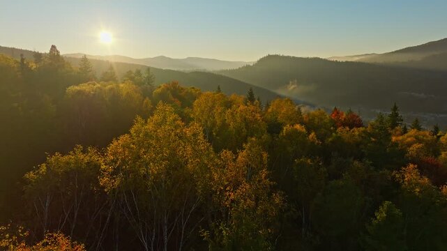 Autumn mountains forest travel nature view beautiful drone