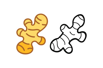 Colorful and monochrome illustrations depicting a fresh ginger root vegetable