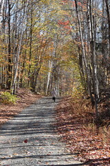 Obraz premium A great walk through mountain paths with a beautiful autumn