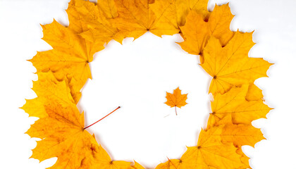 Autumn leaves form a vibrant orange letter q on a white background