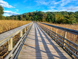 Grindstone Marsh Boardwalk Trail