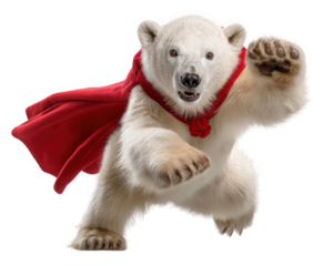 Funny and cute polar bear superhero in red cape. This powerful cartoonish animal hero running with determined expression, fun and powerful character for design