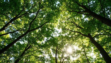 Fototapeta premium A long, sunlit colonnade with classical columns and arched ceiling, creating a sense of depth and grandeur.