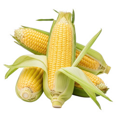 Four ripe yellow corn cobs with green husks on background maize