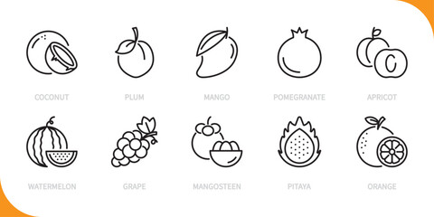 Fruit & berry & food line icon set. Coconut, plum, mango, pomegranate, apricot, watermelon, grape, mangosteen, pitaya, orange sign. Vector illustration. Editable stroke. Flat design.