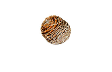 Cedrus deodara pine cone with a tight, spiral structure, resting on its side with a clear reflection. Perfectly isolated on a transparent background for Winter or natural product designs