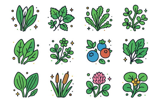 Edible Plants Icons Set. Edible plants. Colorful isometric vector icons set of edible plants: wild garlic, nettle leaves, dandelion greens, chickweed, sorrel,