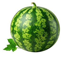 Whole Watermelon with Stem and Leaves, Slight Angled Side View, Transparent Background