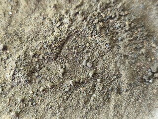 ground texture background