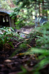 Vintage Charm Buried in the Undergrowth