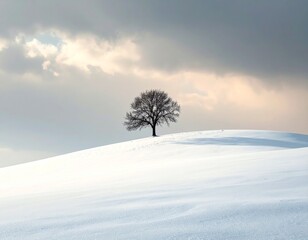 Minimalist winter landscape with lone tree on snow-covered hill under moody sky