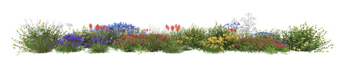 flower grass on a transparent background