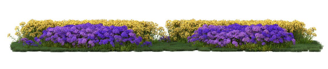 Various types of purple pink flowers grass bushes shrub and small plants isolated