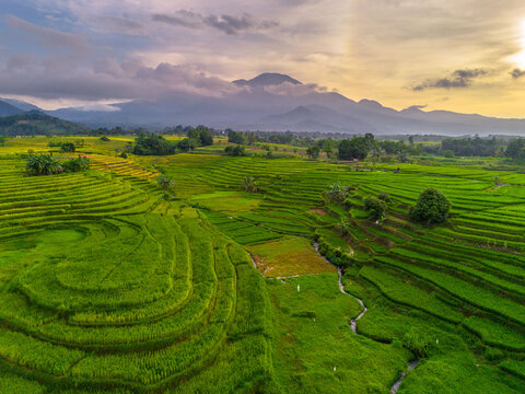 Beautiful morning view indonesia Panorama Landscape paddy fields with beauty color and sky natural light