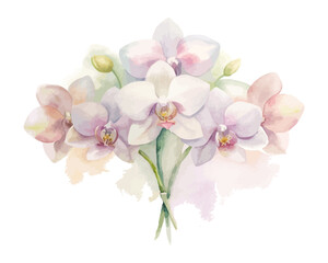 Watercolor Orchid Bouquet for Tropical Invitations vector illustration