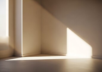 Fototapeta premium Sunlight drenching a bare interior space casting dramatic shadows