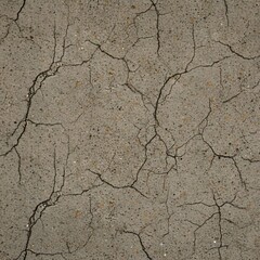 cracked soil background