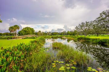 A stunning photo capturing a charming bridge arching gracefully over a pond filled with vibrant lily pads at Venetian Gardens in Leesburg, Florida.