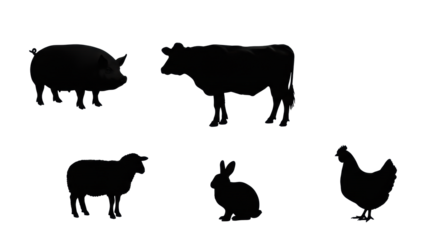 Matte black silhouettes of pig, cow, sheep, rabbit, chicken, iconic forms on a transparent background with copy space, modern graphic design Concept of agriculture and minimalism.