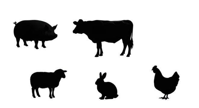 Matte black silhouettes of pig, cow, sheep, rabbit, chicken, iconic forms on a transparent background with copy space, modern graphic design Concept of agriculture and minimalism.