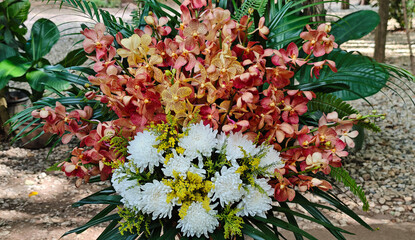 Flowers and orchids are blooming beautifully.