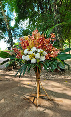 Flowers and orchids are blooming beautifully.