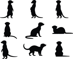 Meerkat silhouettes in various poses, standing, sitting, lying down, stylized black animal shapes, wildlife behavior illustration, isolated on white, educational, artistic, vector graphic