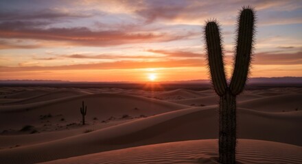 Desert sunset with cacti.  Silhouette of two cacti against a vibrant sunset over sand dunes
