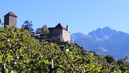 Schloss Tirol