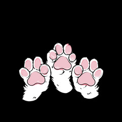 Cute fluffy cat paws with pink pads displayed on a black background appealing to animal lovers