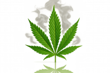 Cannabis leaf with smoke on transparent background representing medicinal marihuana and plant-based therapy
