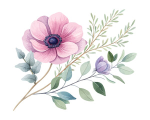 Watercolor Anemone and Eucalyptus Branch Design 