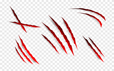 Claws scratches - vector isolated. Claws scratches animal claw tracks cat or tiger bear or lion attack nails scratches. Horror, halloween monster. Vector