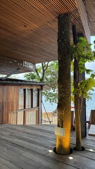 palm tree in a tropical resort