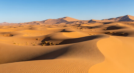 Golden Desert Landscape with Endless Sand Dunes Under Bright Sky